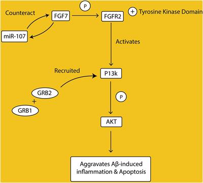 Alzheimer’s Disease: An Update and Insights Into Pathophysiology